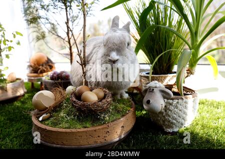 Eldagsen, Deutschland. April 2020. Kaninchenhorst bereitet sich auf Ostern vor. Eldagsen, 5. April 2020 - weltweite Nutzung Credit: Dpa/Alamy Live News Stockfoto