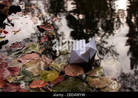 Papierboot auf dem Wasser. Im See schwimmen Herbstblätter. Reflexion im Wasser. Stockfoto