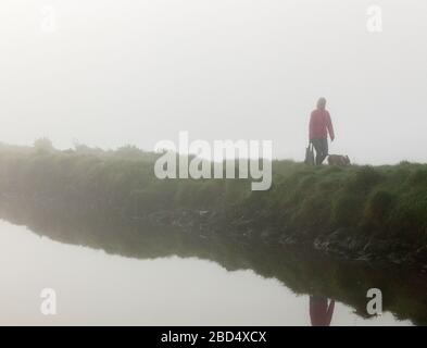 Carrigaline, Cork, Irland. April 2020. Eine Frau läuft ihren Hund im Nebel am frühen Morgen im Gemeindepark in Carrigaline, Co. Cork, Irland. Unter behördlichen Einschränkungen ist die Ausübung nur innerhalb von 2 Kilometern von Ihrem Zuhause und nur mit Personen aus Ihrem eigenen Haushalt gestattet. - Credit; David Creedon / Alamy Live News Stockfoto