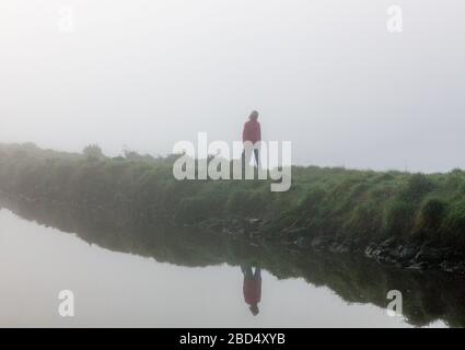 Carrigaline, Cork, Irland. April 2020. Eine Frau läuft ihren Hund im Nebel am frühen Morgen im Gemeindepark in Carrigaline, Co. Cork, Irland. Unter behördlichen Einschränkungen ist die Ausübung nur innerhalb von 2 Kilometern von Ihrem Zuhause und nur mit Personen aus Ihrem eigenen Haushalt gestattet. - Credit; David Creedon / Alamy Live News Stockfoto