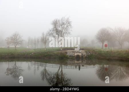 Carrigaline, Cork, Irland. April 2020. Eine Frau läuft ihren Hund im Nebel am frühen Morgen im Gemeindepark in Carrigaline, Co. Cork, Irland. Unter behördlichen Einschränkungen ist die Ausübung nur innerhalb von 2 Kilometern von Ihrem Zuhause und nur mit Personen aus Ihrem eigenen Haushalt gestattet. - Credit; David Creedon / Alamy Live News Stockfoto