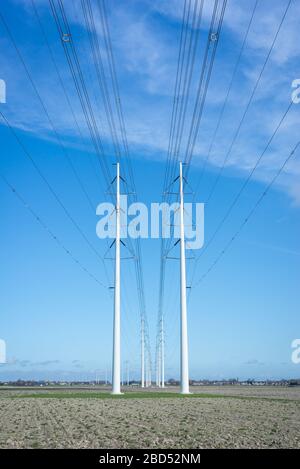 Reihe moderner Hochspannungs-Pylone mit Stromleitungen für den Transport von Strom in der niederländischen Landschaft Stockfoto