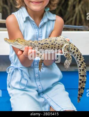 Das Kind hält ein kleines Krokodil in seinen Händen. Selektive konzentrieren. Stockfoto