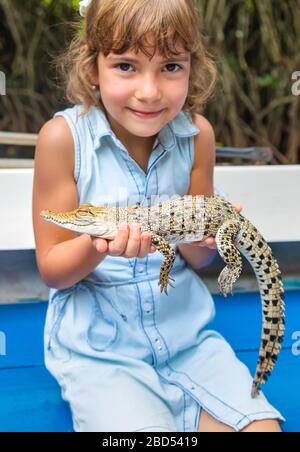 Das Kind hält ein kleines Krokodil in seinen Händen. Selektive konzentrieren. Stockfoto