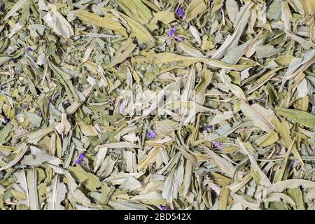 Getrocknete grüne Blätter von Iwan-Tee mit violetten Blumen liegen verstreut auf dem Tisch. Hintergrund. Stockfoto