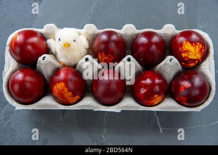 Easter farbige Eier und ein flauschiges Huhn in einem Pappkarton auf grauem Grund. Stockfoto