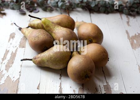Sieben reife Birnen fotografiert auf einer weißen rustikalen Holzoberfläche Stockfoto