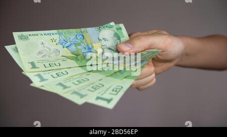 Fünf Wechsel von einem rumänischen Leu Banknote in der Hand. Lei ist die nationale Währung Rumäniens. Rumänisches Geld. Stockfoto