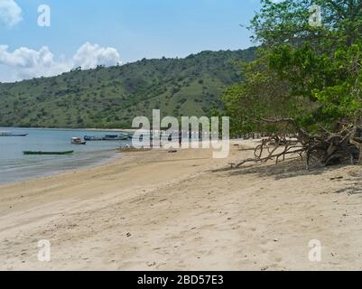 dh Komodo Nationalpark Strand KOMODO INSEL INDONESIEN UNESCO Weltkulturerbe indonesischer asien Strand Stockfoto