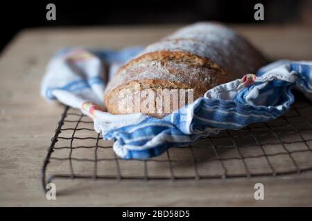 Ein frisch gebackener Laib Brot, der auf einem Drahtscheiben auf einem Holztisch abkühlt Stockfoto