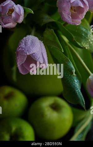 Ein Bouquet von lila Tulpen in einem grünen Glas mit grünen Äpfeln mit Regentropfen auf schwarzem Hintergrund bedeckt Stockfoto