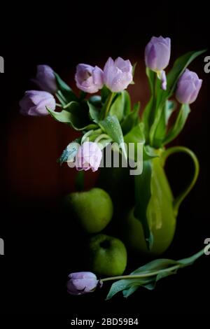 Ein Bouquet von lila Tulpen in einem grünen Glas mit grünen Äpfeln mit Regentropfen auf schwarzem Hintergrund bedeckt Stockfoto
