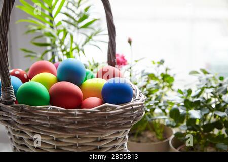 Ostersonntag oder Ostertag (Pascha). Korb mit bunten Ostereiern auf verschwommenem Hintergrund. Bemalte Hühnereier, selektiver Fokus Stockfoto
