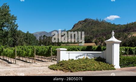 Franschhoek, Westkaper, Südafrika. 2019. Rickety Bridge Weinberg und Weingut im Franschhoek Valley, Westkaps, Südafrika. Stockfoto