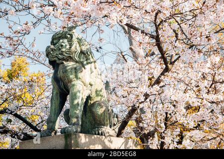 Osaka, Japan - 3. April 2019: Ikukunitama-Schrein-Skulptur mit Frühlingskirschblüten Stockfoto