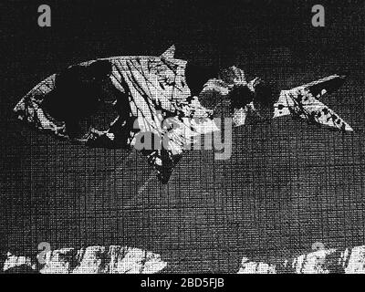 Bedrängnis Grunge Vektor-Struktur von Stoff mit Fischornament. Schwarz-Weiß-Hintergrund. EPS 8-Abbildung Stock Vektor