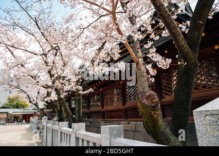 Osaka Tenmangu-Schrein mit Kirschblüten in Osaka, Japan Stockfoto