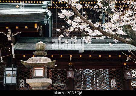 Osaka Tenmangu-Schrein mit Kirschblüten in Osaka, Japan Stockfoto