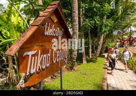 Horizontaler Blick auf den Eingang der Tukad Cepung-Wasserfälle in Bali, Indonesien. Stockfoto