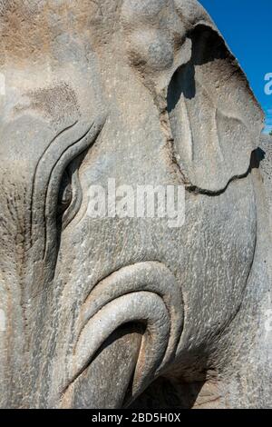 Detail der Statue des Elefanten, des Geistes oder des Heiligen Weges, der Ming-Gräber, des Changping-Distrikts, Peking, China Stockfoto