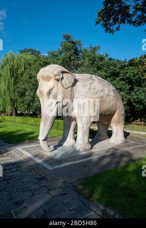 Statue des Elefanten, des Geistes oder des Heiligen Weges, Ming-Gräber, Changping District, Peking, China Stockfoto