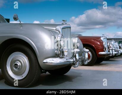 Bentley Continental zum 50-jährigen Jubiläum in Silverstone 2001 Stockfoto