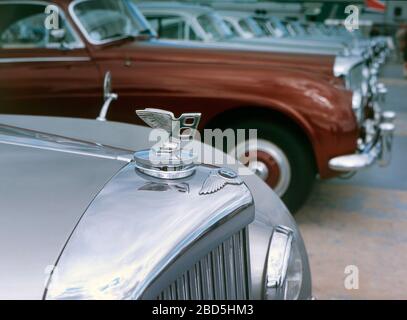 Bentley Continental zum 50-jährigen Jubiläum in Silverstone 2001 Stockfoto