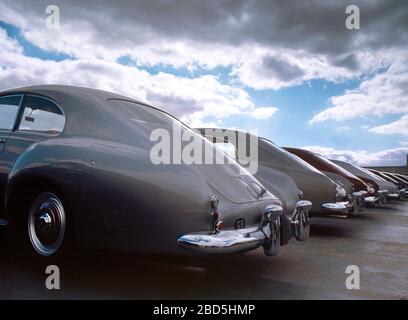 Bentley Continental zum 50-jährigen Jubiläum in Silverstone 2001 Stockfoto