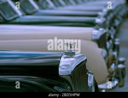 Bentley Continental zum 50-jährigen Jubiläum in Silverstone 2001 Stockfoto