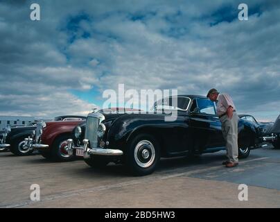 Bentley Continental zum 50-jährigen Jubiläum in Silverstone 2001 Stockfoto