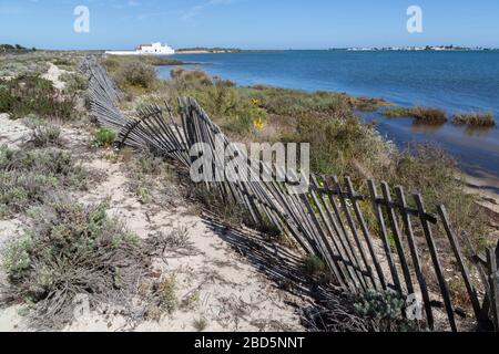 Zaun in Salzmarschen zur Stabilisierung von Dünen, Moinho de Stute, Gezeitenmühle, Quinta de Marim, Naturpark Ria Formosa, Algarve, Portugal Stockfoto