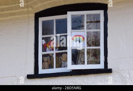 Ein Regenbogenbild und Teddybären in einem Fenster eines britischen Hauses während des UK Coronavirus Covid19 Lockdown Stockfoto