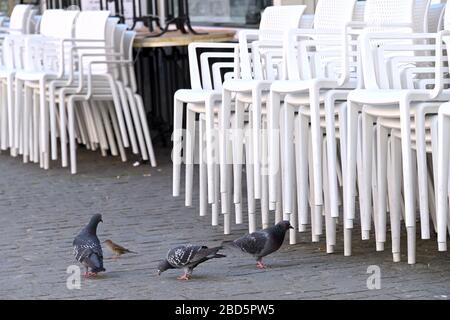 Bad Hersfeld, Deutschland. April 2020. Drei Tauben und ein Sparren durchsuchen den Boden vor gestapelten Stühlen einer Eisdiele nach Krümeln. Um die Ausbreitung des Corona-Virus zu verlangsamen, hat die Bundesregierung das öffentliche Leben weiter stark eingeschränkt. Credit: Uwe Zucchi / dpa / Alamy Live News Stockfoto