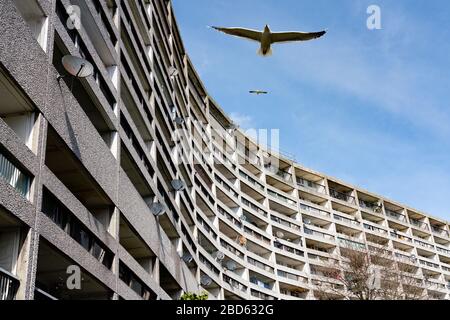 Außenansicht des Cables Wynd House Appartementblocks, bekannt als die Banana Flats, in Leith, Schottland, Großbritannien Stockfoto