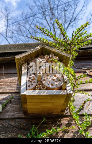 Blick auf ein Bug-Hotel, das an einem Schuppen mit dem blauen Himmel darüber liegt. Das Bug-Hotel hat viele Kopfsteinpflaster. Stockfoto