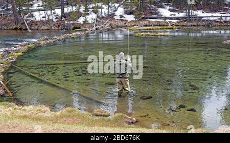 Ein Fliegenfischer wirft im Frühjahr eine aufsteigende Regenbogenforelle auf den Fall River in Central Oregon. Stockfoto