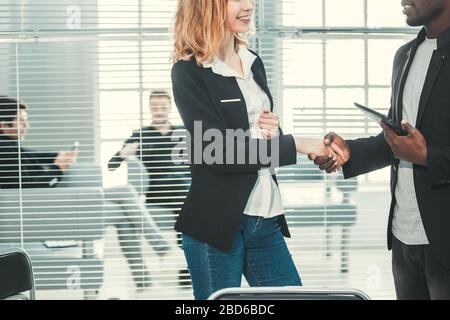 Junge Geschäftskollegen schütteln sich die Hände. Stockfoto