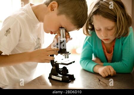 Bruder und Schwester experimentieren mit einem Mikroskop. Stockfoto