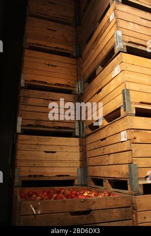 Lacko. Die Wojewodschaft Malopolska (Kleinpolen). Polen. Obstlager und -Verpackung. Stockfoto