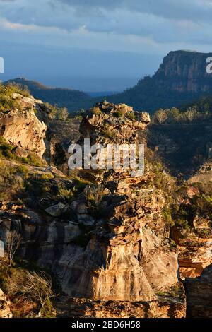 Ein Blick auf die Blue Mountains bei Katoomba, wie von Cahill's Lookout aus zu sehen Stockfoto