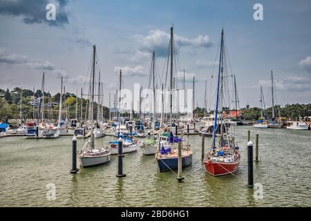 Boote am Yachthafen von Town Basin am Hatea River in Whangarei, Northland Region, North Island, Neuseeland Stockfoto