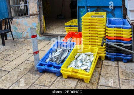 Frisch gefangener Salzwasserfisch, der in Kisten zum Verkauf im Fischgeschäft ausgestellt wird Stockfoto