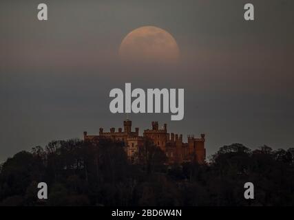 Über der Burg Belvoir in Leicestershire ist ein rosafarbener Supermond zu sehen. Trotz ihres Namens gibt es keine tatsächliche Farbänderung am Aussehen der Mondoberfläche - es handelt sich um einen nordamerikanische Hinweis auf eine früh aufblühende Wildblume, die sich Anfang des Frühlings in den USA und Kanada zu Beginn des Frühlings zu Beginn der Blüte aufknallen. Stockfoto