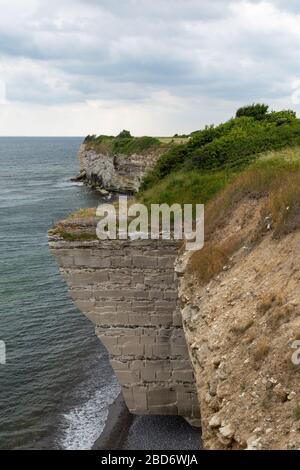 Landschaft in der Nähe von Rodvig, Neuseeland, Dänemark Stockfoto