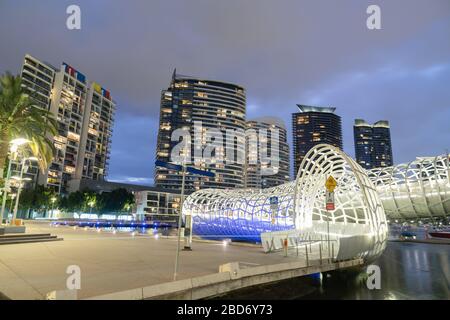 Die Webb Bridge beleuchtete nachts blau und weiß mit hohen Apartments und Bürogebäuden im Hintergrund auf der Southbank Seite des Yarra River. Stockfoto