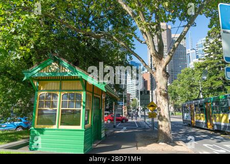 Melbourne Australia - 10. März 2020; historisches Gebäude mit grünen und gelben Bushaltestellenbus unter dem Londoner Flugzeugbaum in der Straßenansicht der Stadt mit vorbeifahrender Straßenbahn und Stockfoto