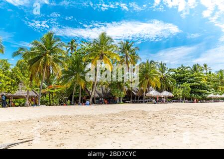 Strand mit Palmen, Andilana Beach, Nosy Be Island, Madagaskar Stockfoto