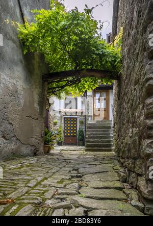 Bergdorf Groznjan, Kroatien, Istrien Stockfoto