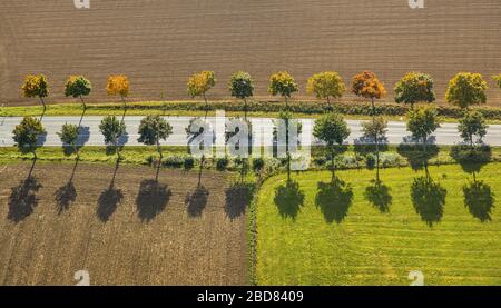 , Landstraße Gasse, 12.10.2015, Luftbild, Deutschland, Nordrhein-Westfalen, Brilon Stockfoto