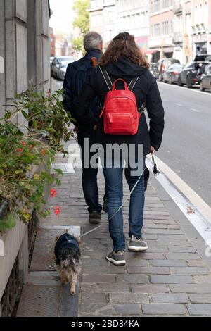 Rückansicht von Paar zwei Personen Frau und Mann, die Jeans tragen, die Hände halten und am sonnigen Tag auf urbanem Hintergrund einen kleinen niedlichen Hund an der Leine laufen. Stockfoto